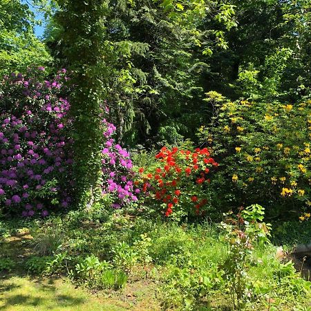 Ferienhaus Hudemuehlen Keine Monteure โฮเดนฮาเกิน ภายนอก รูปภาพ
